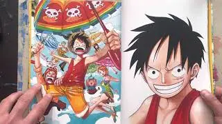 One Piece Color Walk 5 Artbook Review