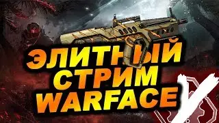 Стрим,проверяю Warface на играбельность.
