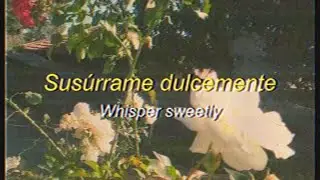The Little Dippers - Forever (Sub. Español) / / Lyrics