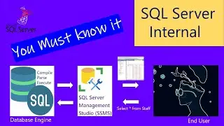 SQL Server Internal | SQL Internal | How SQL Server Engine works