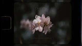 Poldoore - Celestial (A Tribute To Nujabes)