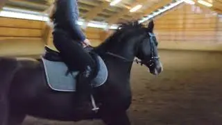 Fia: The First Session with the New Saddle!