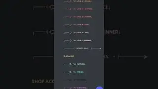 Full Setup Of Discord Security/Anti Damage/Anti Wizz Tutorial