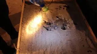 Двенадцатый день укоренения чубуков (черенков) винограда в кильчеваторе