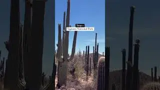 Epic USA Roadtrips : Arizona 🚙 #roadtrips #bucketlist #usa