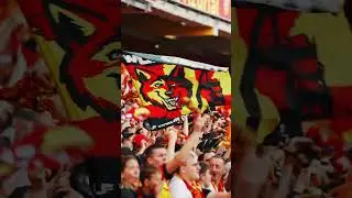 Une petite dose de Bollaert 🏟 pour patienter ❤💛