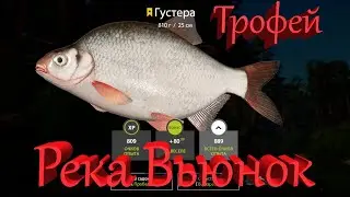 Река Вьюнок. Трофейная Густера. Русская рыбалка 4