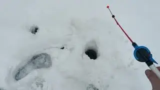 Закрытие сезона по ХАРИУСУ . Дальняя поездка на Тиманский Кряж