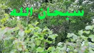 BEST Soothing sounds, Stress Relief sounds, Relexing sounds, Natural music