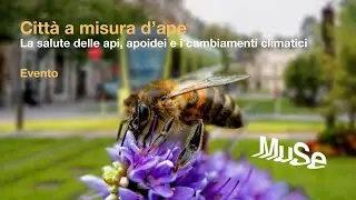 Città a misura d'ape - La salute delle api, apoidei e i cambiamenti climatici