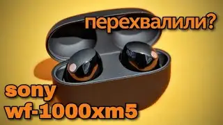 SONY WF-1000XM5 FOR 16,000₽: IS IT TOO MUCH OR IS THERE SOMETHING TO PAY FOR?