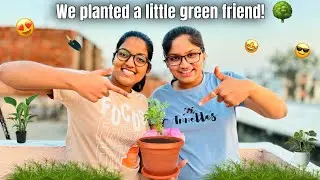 We planted a little green friend! 🌳 |Siya and Sneha|