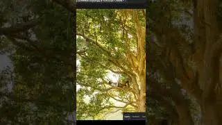 Sun Rays Effect in Photoshop