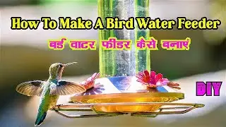 How To Make A Bird Water Feeder | DIY Homemade Plastic Bottle Bird Water Feeder