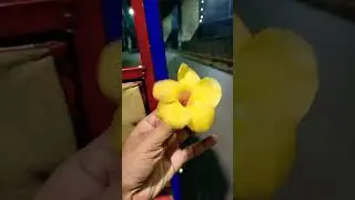 When You Find Flower At mid Night 😅