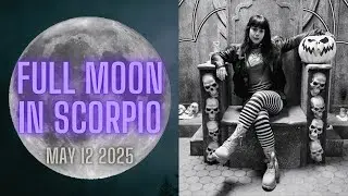 🦂 Full Moon in Scorpio ~ May 12 2025 🌝 | All 12 Signs