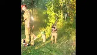 На плантациях любви