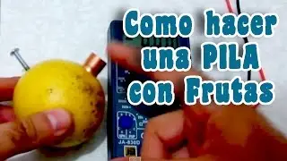 How to make a fruit battery │ Easy experiment