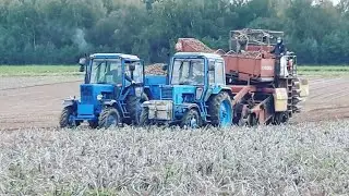 Трактор МтЗ-82,мтз-80 с комбайном Рязанец. Трудно тракторам работать , но идут, уборка урожая