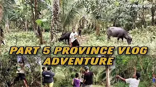 PART 5 || PROVINCE ADVENTURE || MUNTING LUPA AT HALAMAN NAMIN DITO SA MINDORO PASILIP KO SA INYO.
