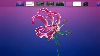 JavaScript fake API with Mockaroo