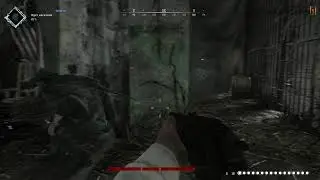 HUNT SHOWDOWN на XBOX SERIES X