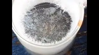 Selenium Dioxide From Elemental Selenium Without Combustion 