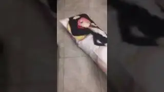 вот настоящий попыт