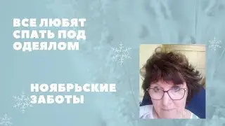 Все любят спать под одеялом