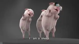 😂Try Not To Laugh 🐷 Funny Pigs Video # 89