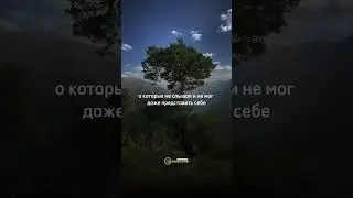 Рай что это и что в нем будет