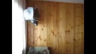 Лоо домики на берегу моря