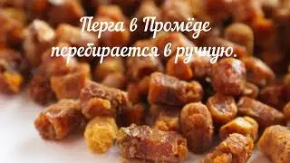 ПЕРГА - живые гипоаллергенные ВИТАМИНЫ для ДЕТЕЙ