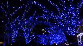 OSAKA光のルネサンス2010　中之島イルミネーションストリート