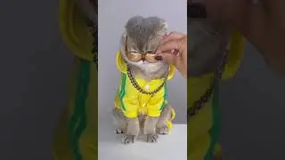 7006274886410784002