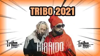 Tribo da Periferia - ( Álbum HÍBRIDO ) - Tribo para 2021 - vários PROJETOS