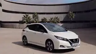 Nissan Leaf 2019  ProPilot Park Assist   real life test