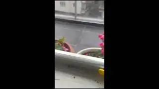 Ankara'daki hanımefendi fitil montajını Kendi yaptı
