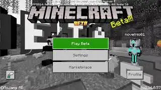 NOVEL bermain minecraft