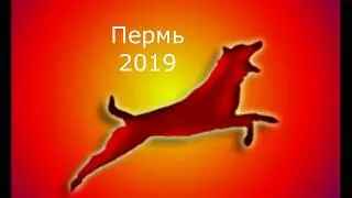 Показное выступление кинологов ПВИ 16 февр 2019 