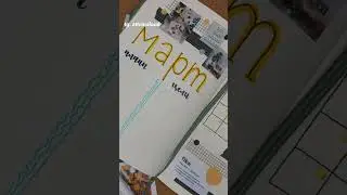 делюсь с вами своими разворотами на март ✨ #bulletjournal #ежедневник #планирование #bujo