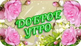 Доброе утро! 🌸 Желаю я твоим глазам гореть любовью, нежностью и страстью!🌸 Good morning! 🌸