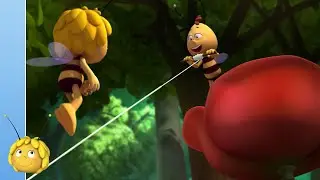 De Draad Kwijt, maar voor een goed doel! 🧵🕷️| Maya de Bij 🐝