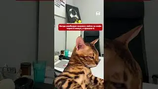 #коллеги