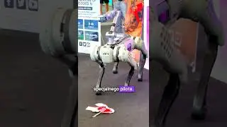 🤖 Pokaz możliwości psów-robotów Unitree Go2 na IFA 2023 🤖