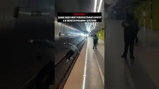ПОДПИСЧИК ЛИТВИНА ПРЫГНУЛ ПОД ПОЕЗД В МЕТРО! 