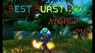 BestBurstBoy World PVP STV ROGUE Vanilla
