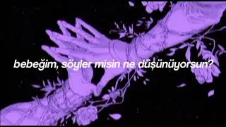 Lil Tracy x Clairo - fall in love (türkçe çeviri)