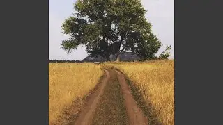 Мемы