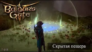 Baldur's Gate 3 Загадка грибы на стене. Скрытая пещера в Подземье